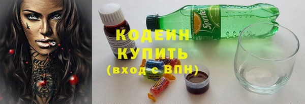 сатива Беломорск