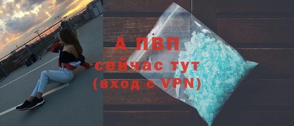 a pvp Белокуриха