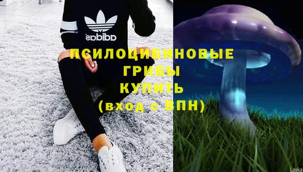 a pvp Белокуриха