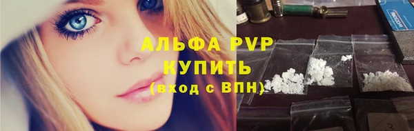 a pvp Белокуриха