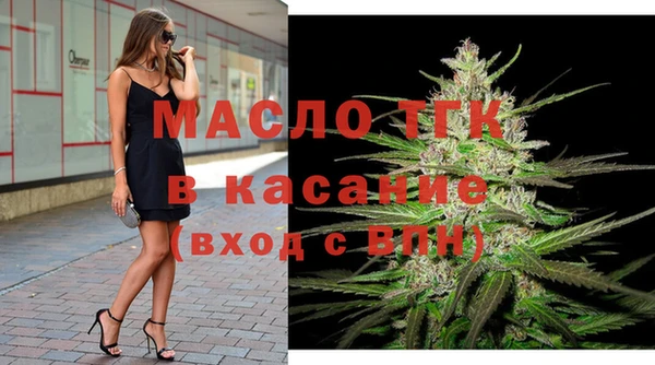 сатива Беломорск