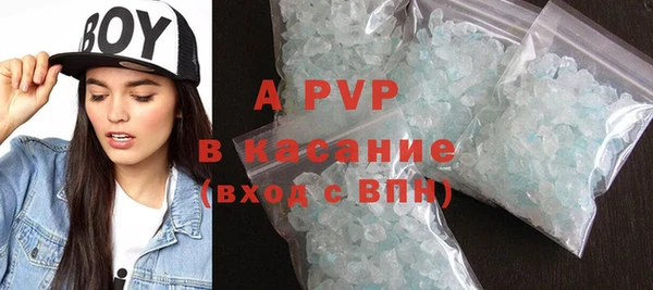 сатива Беломорск