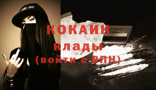 сатива Беломорск