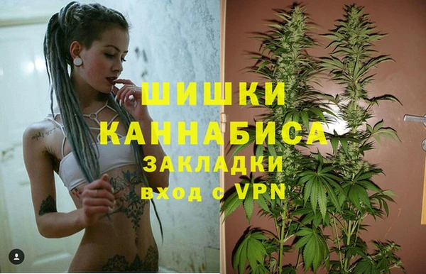 сатива Богданович