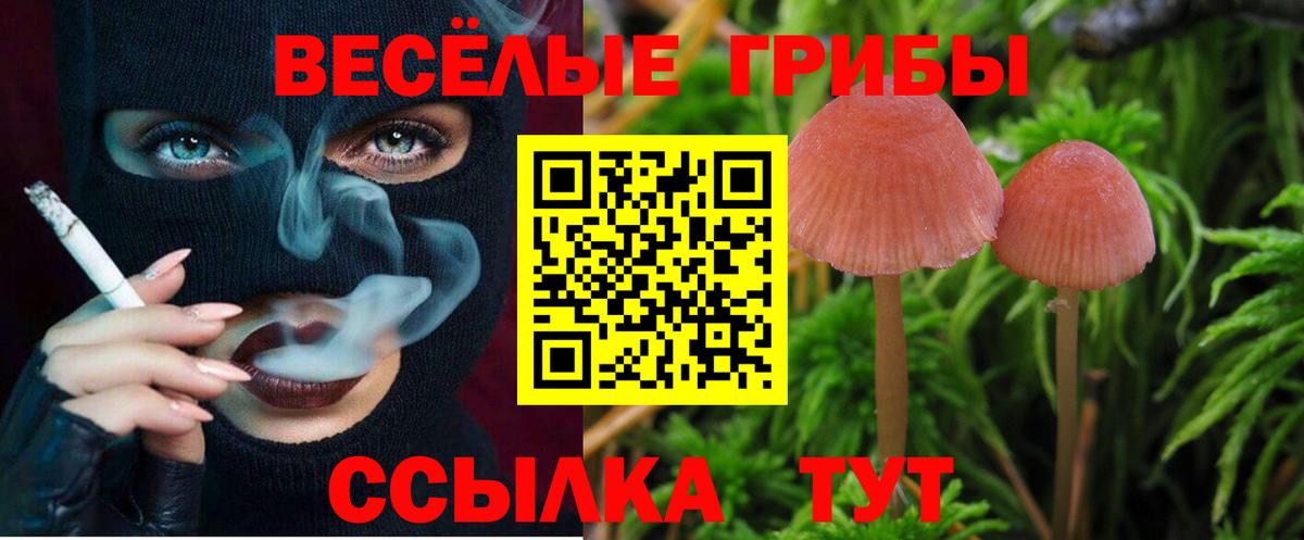 Псилоцибиновые грибы MAGIC MUSHROOMS Реж