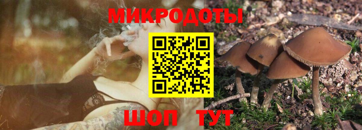 Псилоцибиновые грибы прущие грибы  Вход с VPN  Реж 
